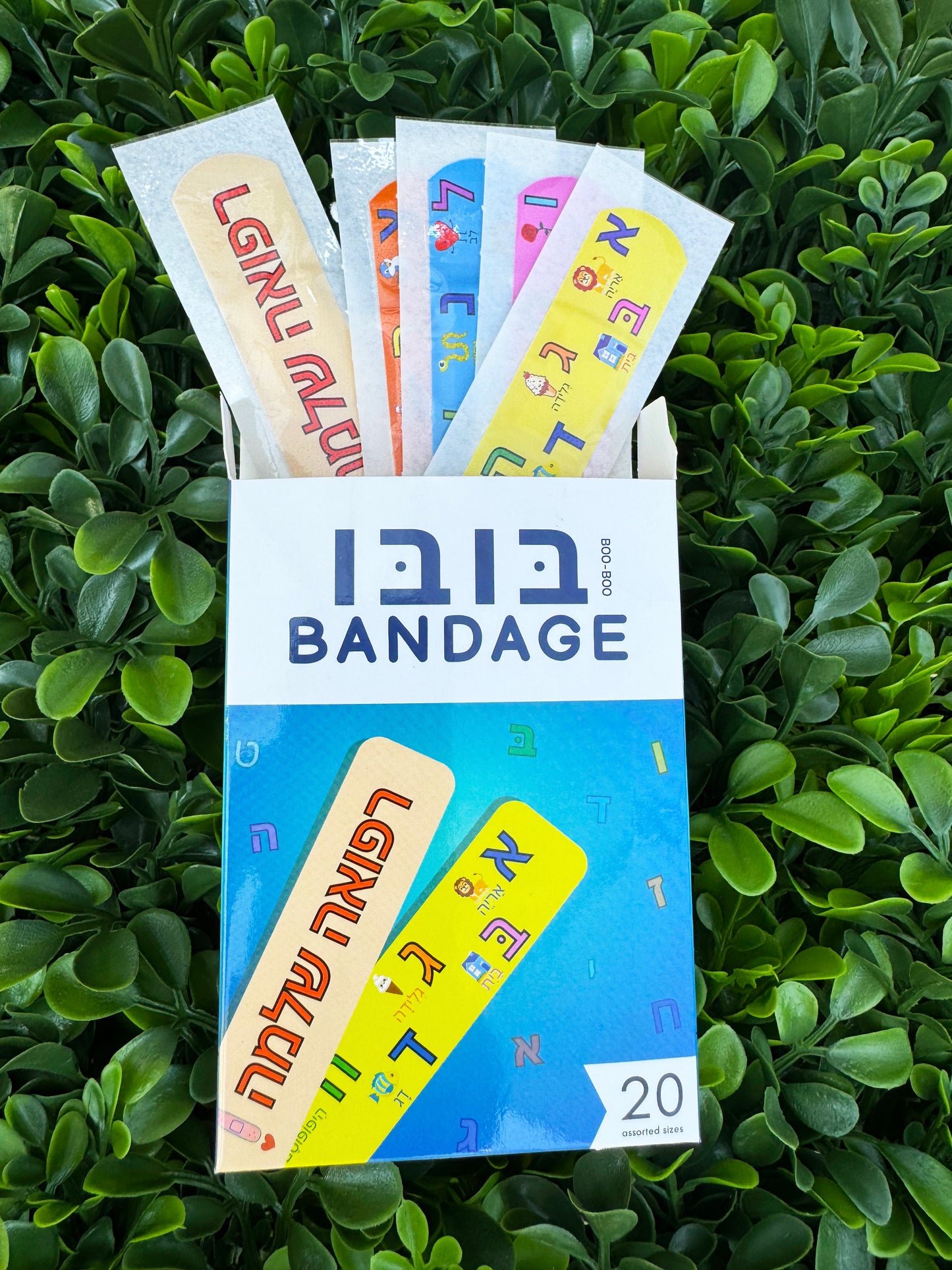 Alef Bet Box