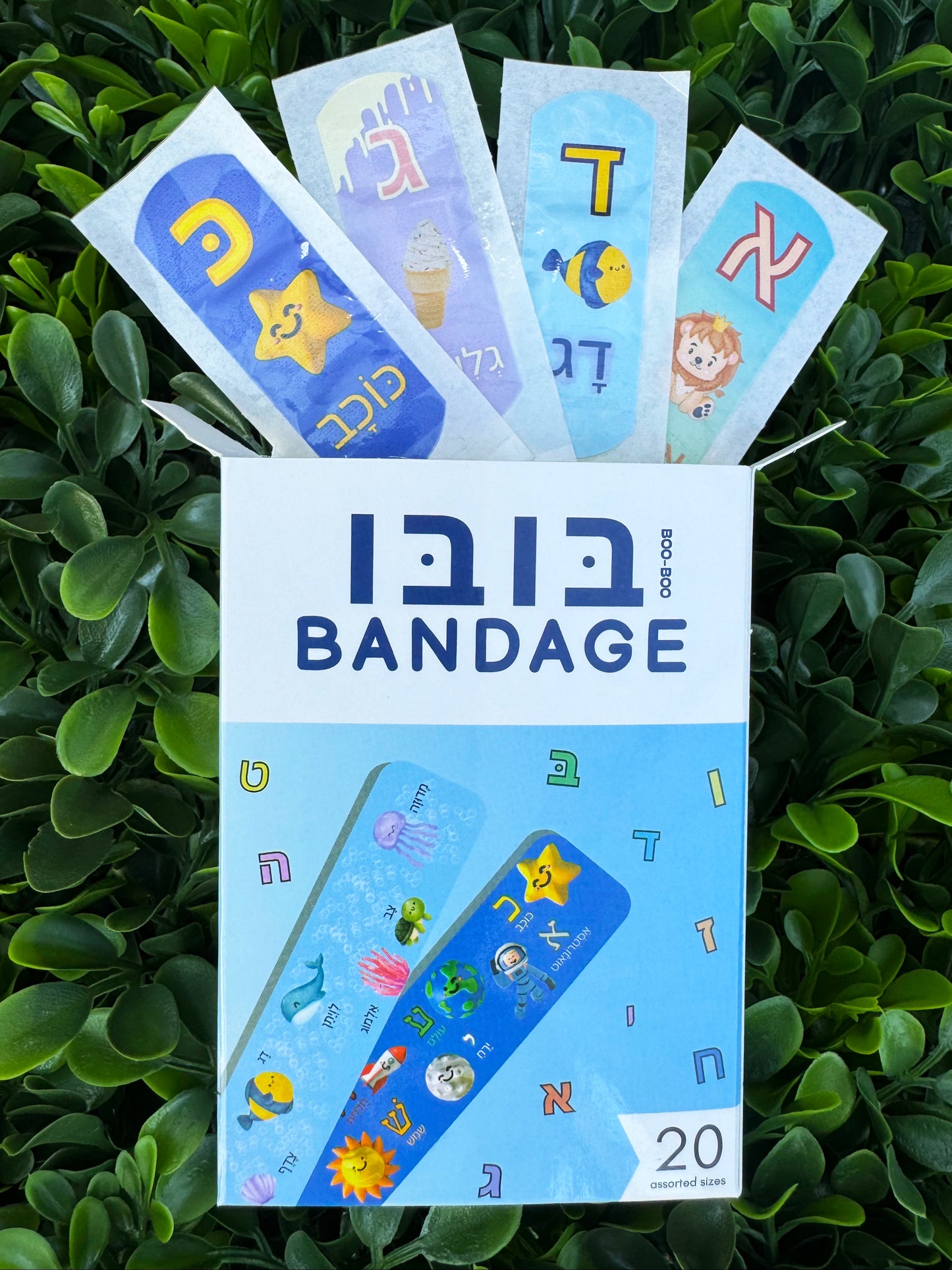 Fun Box